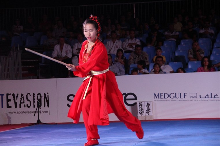 Martial Arts Festival